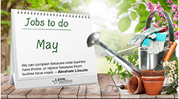 Garden jobs to do in May