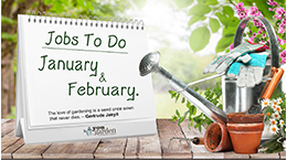 Jobs to do in January & Feburary