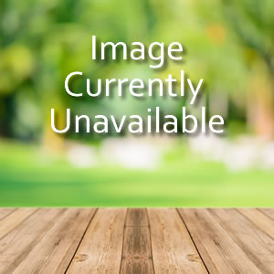 The Complete Blueberry Collection